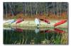 Canoeing Bark Camp Belmont County
