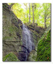 Nelson Kennedy Ledges