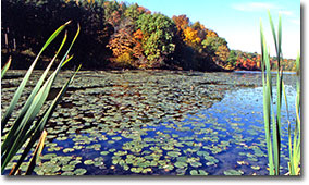 Blue Rock Lake